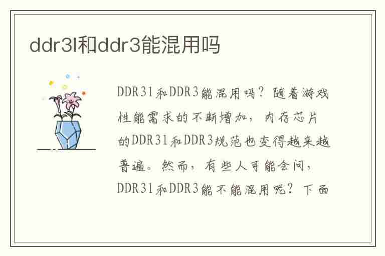 ddr3l和ddr3能混用吗(笔记本ddr3l和ddr3能混用吗)